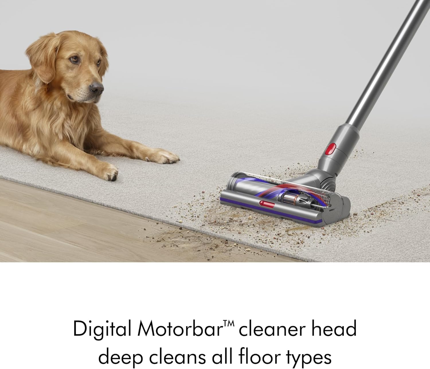 Dyson V15 Fluffy Laser Head